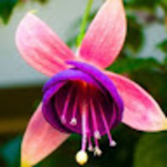 1chrystiana3